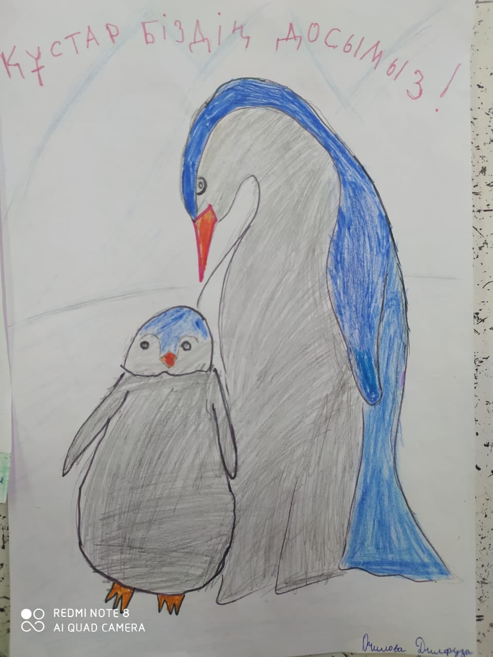 Жыныс келоглан